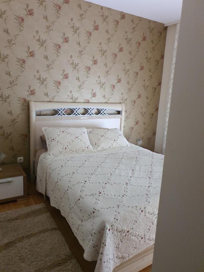 Apartments Soleado Pančevo Екстериор снимка